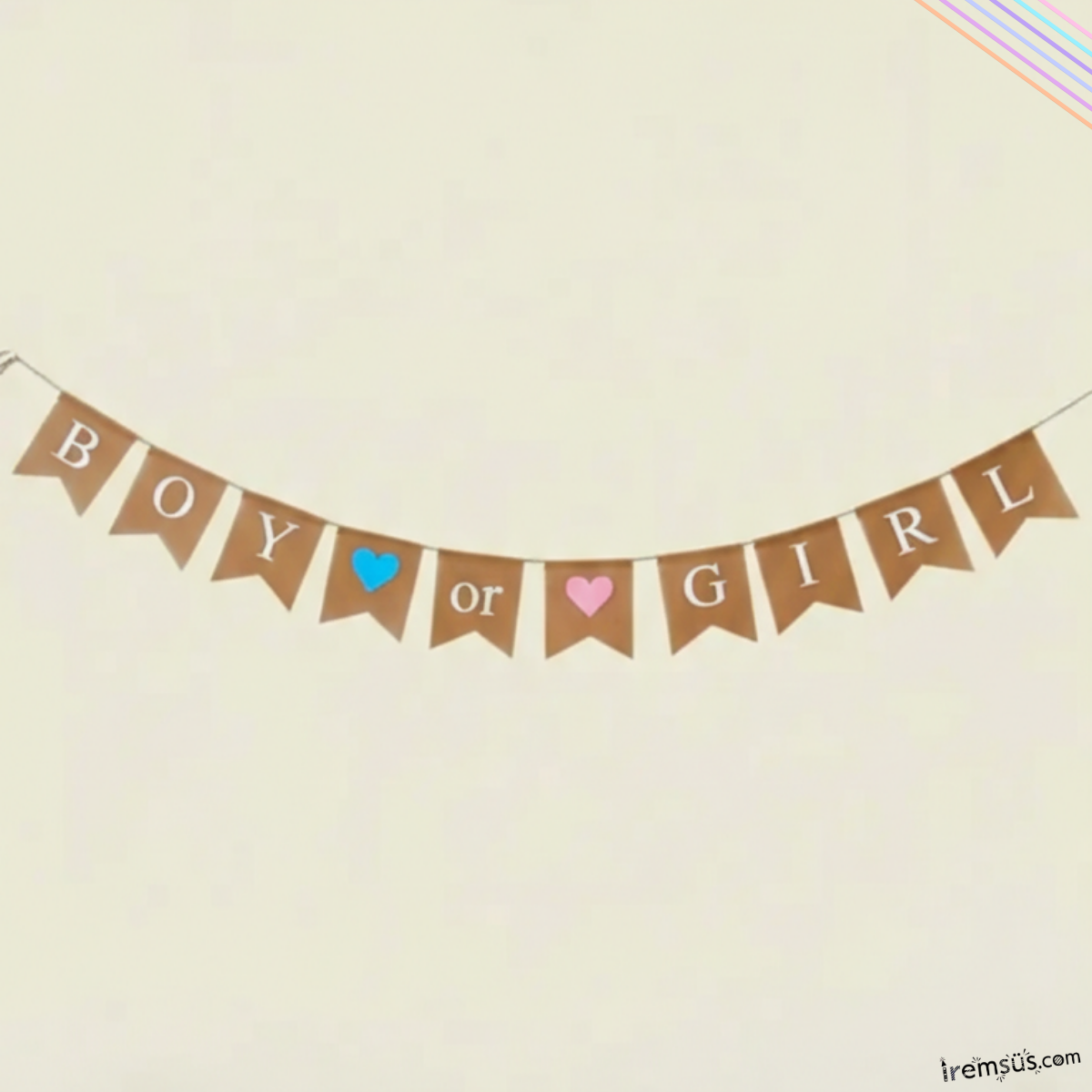 Boy Or Girl Yazılı Hasır Kumaş Banner Cinsiyet Partisi Konsept Süsleme Yazı
